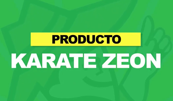 karate-700x410-1