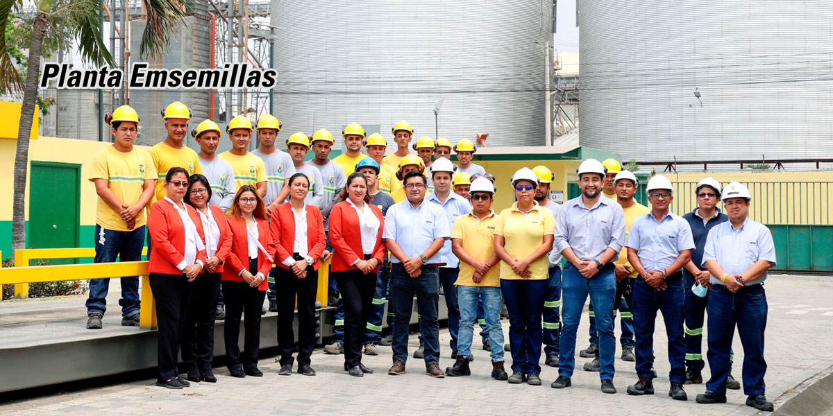 planta-emsemillas