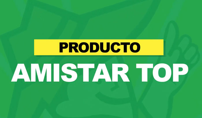 AMISTAR-TOP-700x410-1