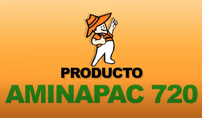 Aminapac-700x410-1
