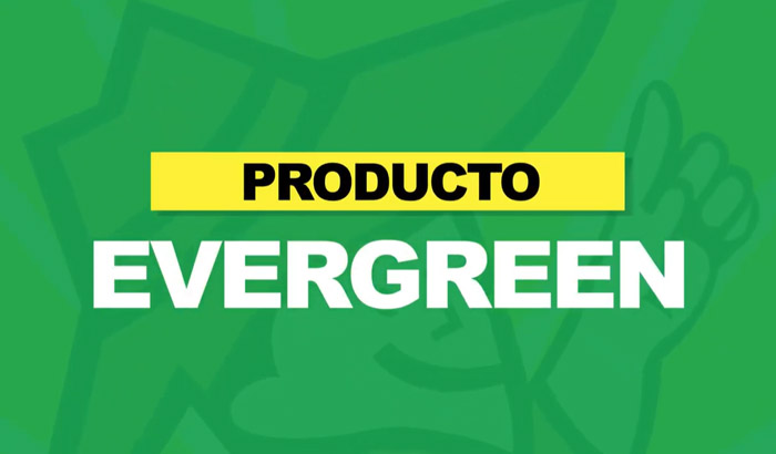 EVERGREEN-700x410-1