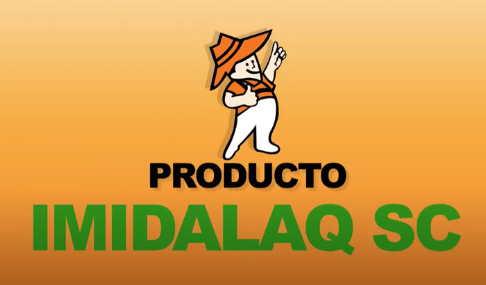 Imidalaq-700x410-1