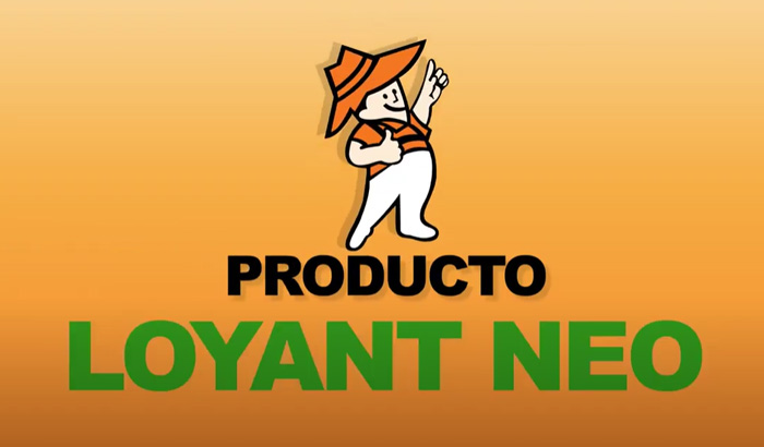 Loyant-700x410-1