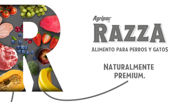 razza-700x410-1