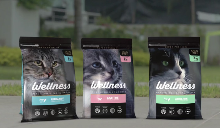 wellness-GATOS-700x410-1