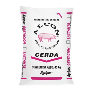 cerda