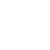 flores-1