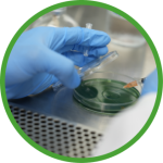 microbiologia-2x