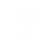 palma