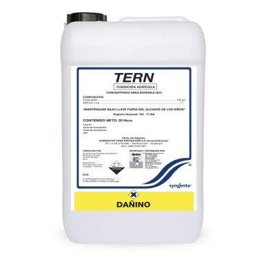tern