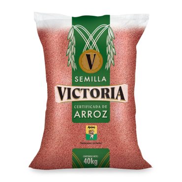 victoria-1-1200x1200-1