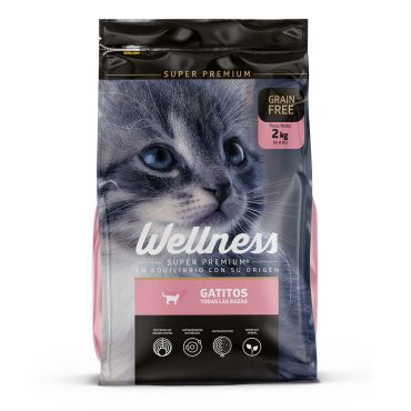 wellness-gatitos